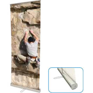 Rollupdisplay Pullup